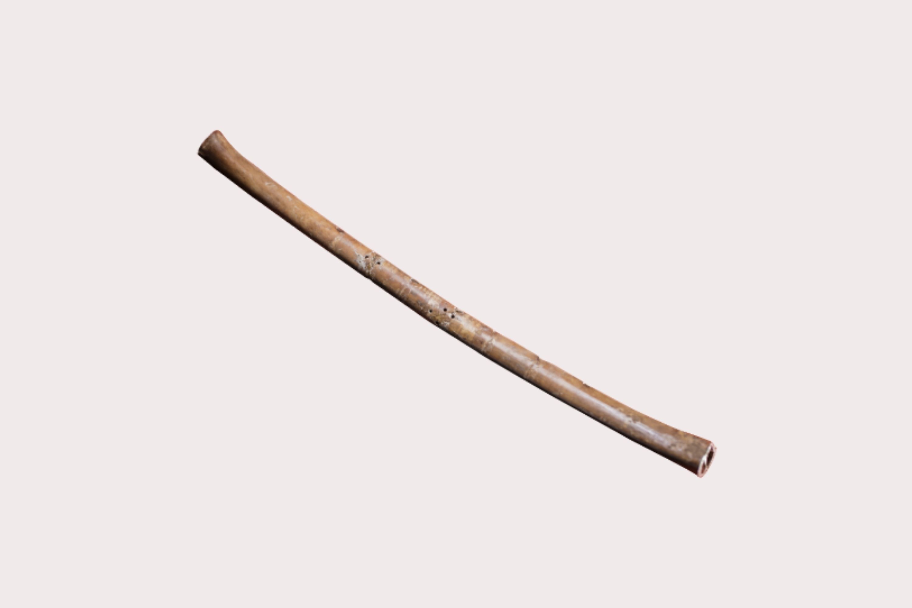 新石器时代 · 其他封面