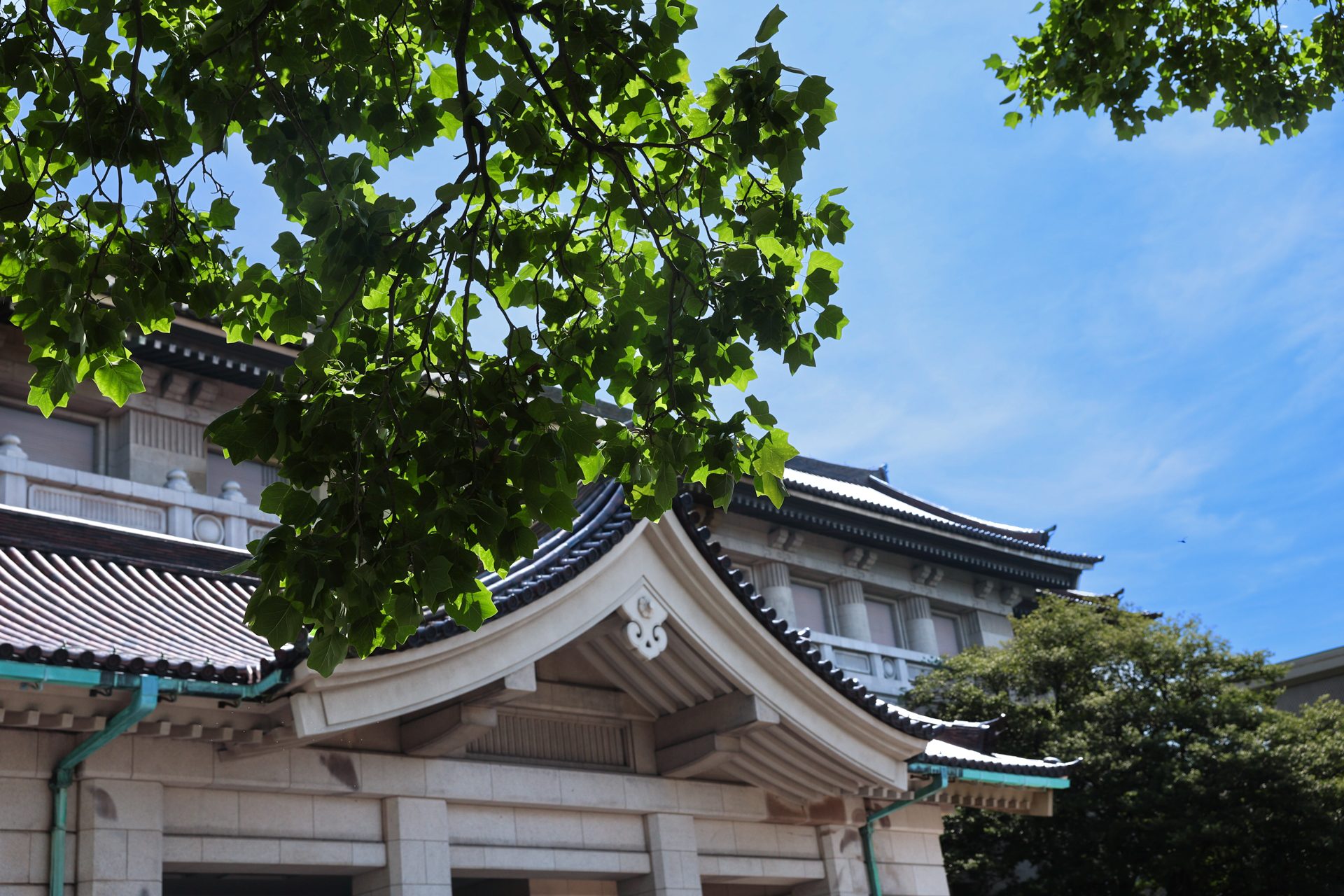 东京国立博物馆博物馆封面