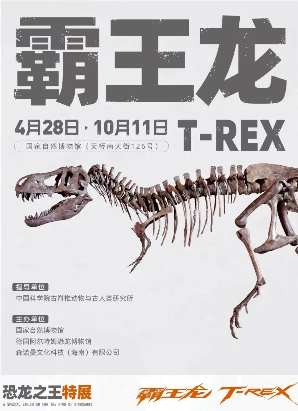 北京封面