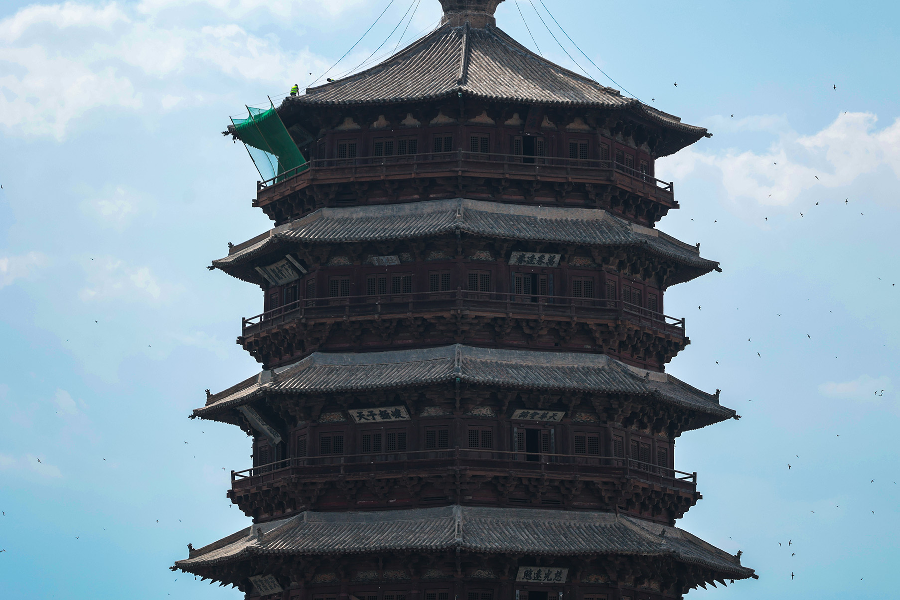 朔州 · 第一批封面