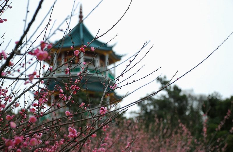 第六批 · 近现代重要史迹及代表性建筑封面