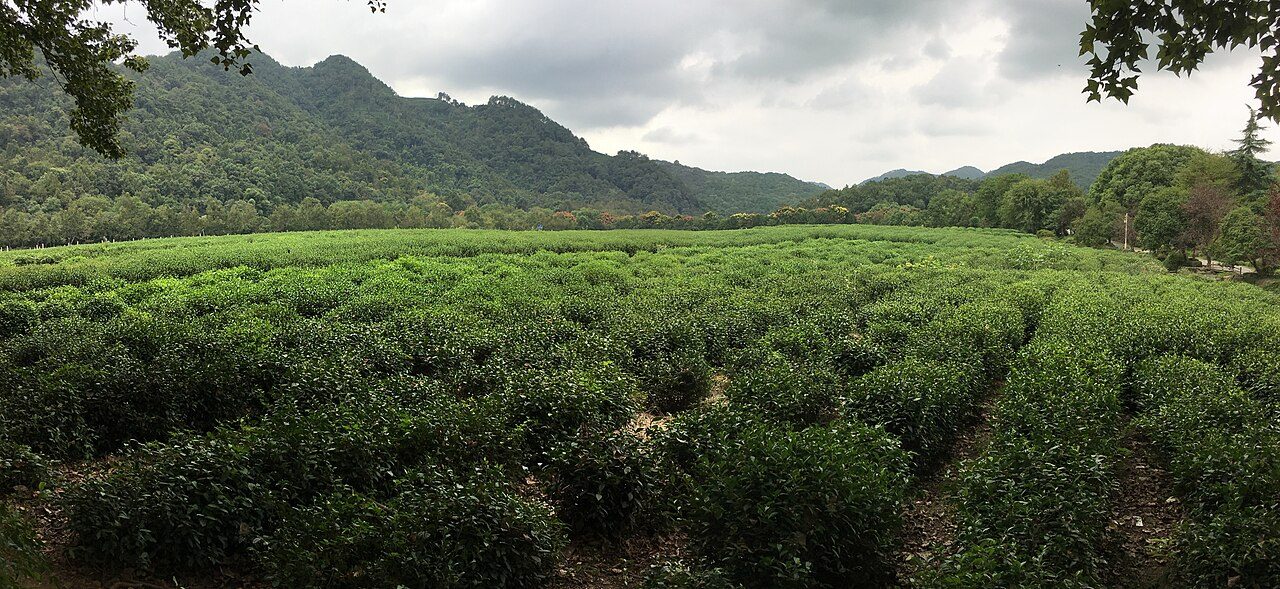 杭州 · 博物馆封面