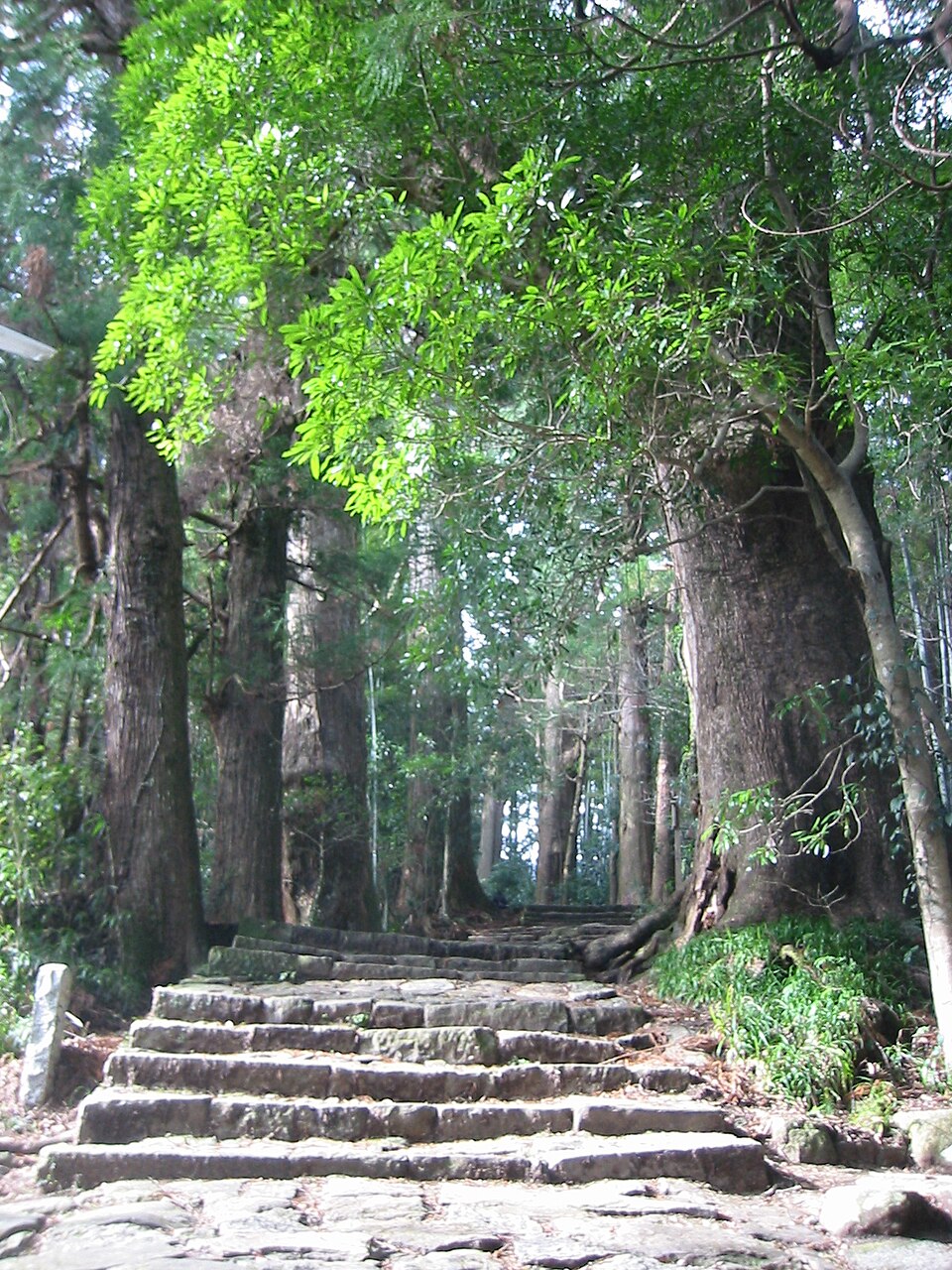 纪伊山地的灵场和参拜道世界遗产封面