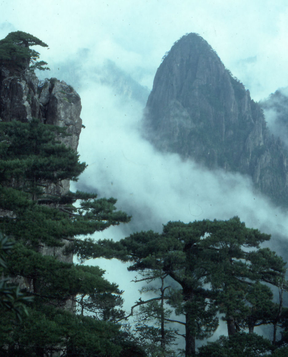 黄山世界遗产封面