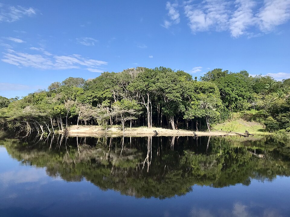 亚马孙河中心综合保护区世界遗产封面